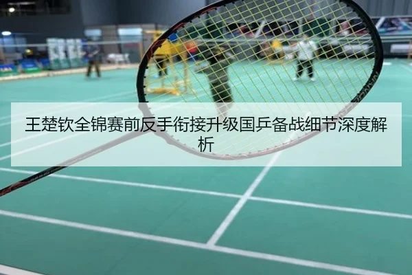 王楚钦全锦赛前反手衔接升级国乒备战细节深度解析